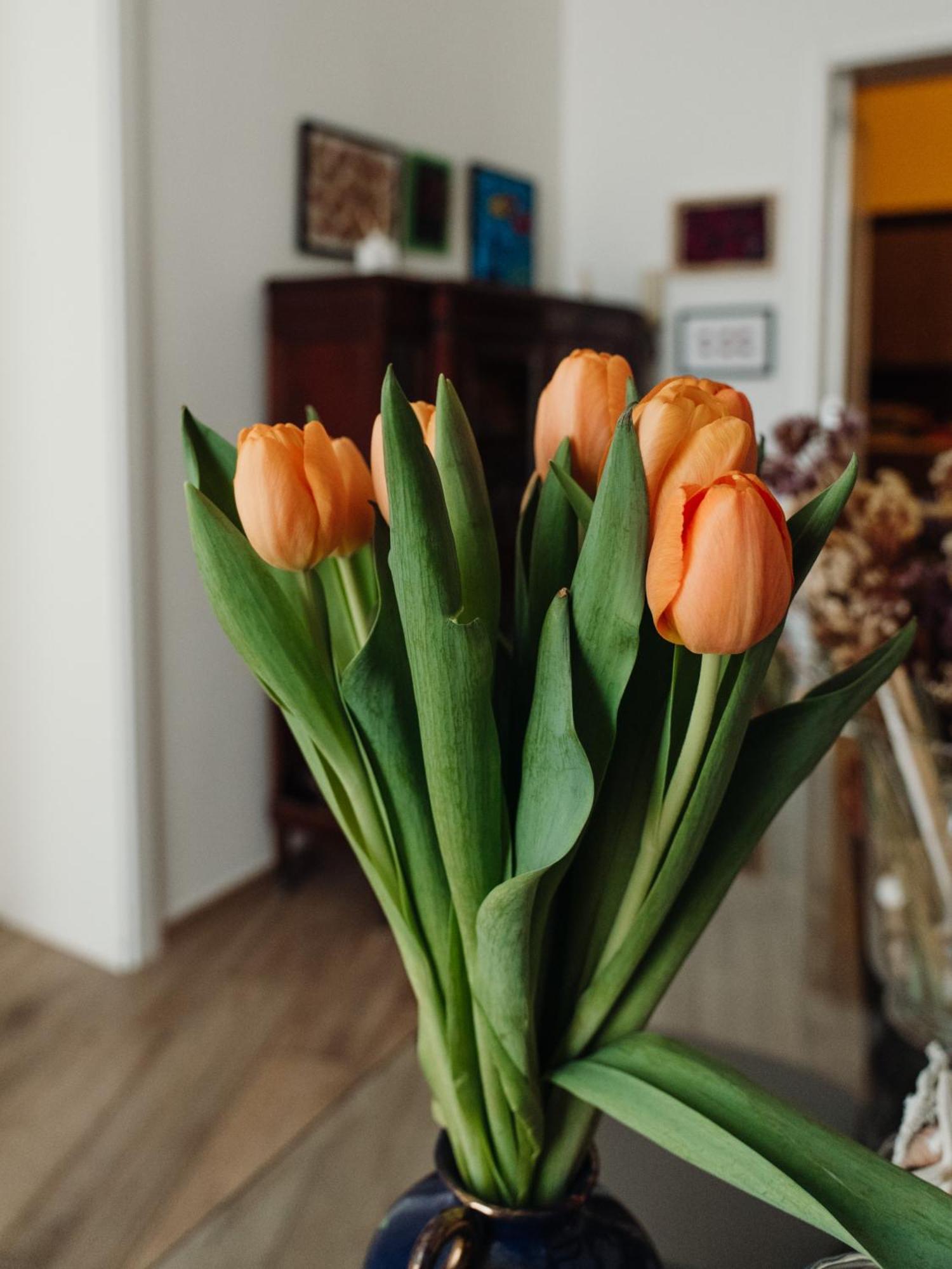 Lo Specchio Dei Papiri Bed & Breakfast Napoli Dış mekan fotoğraf